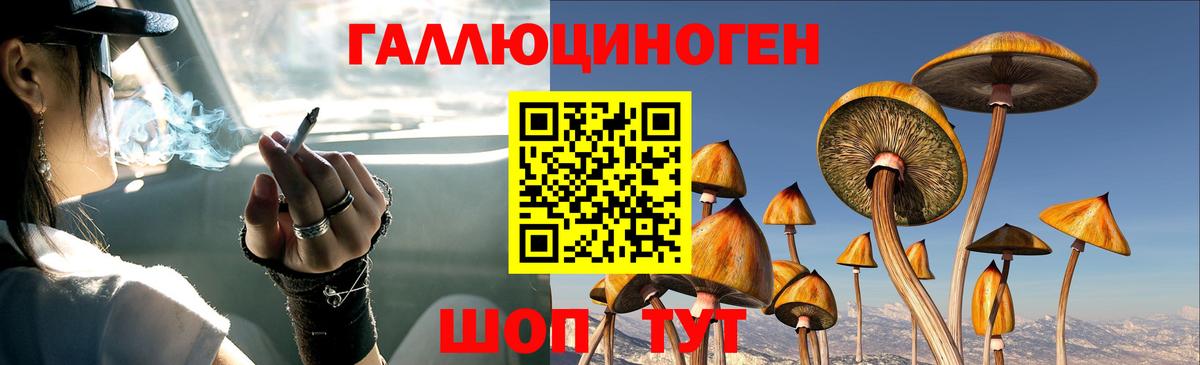 Псилоцибиновые грибы Psilocybe Надым